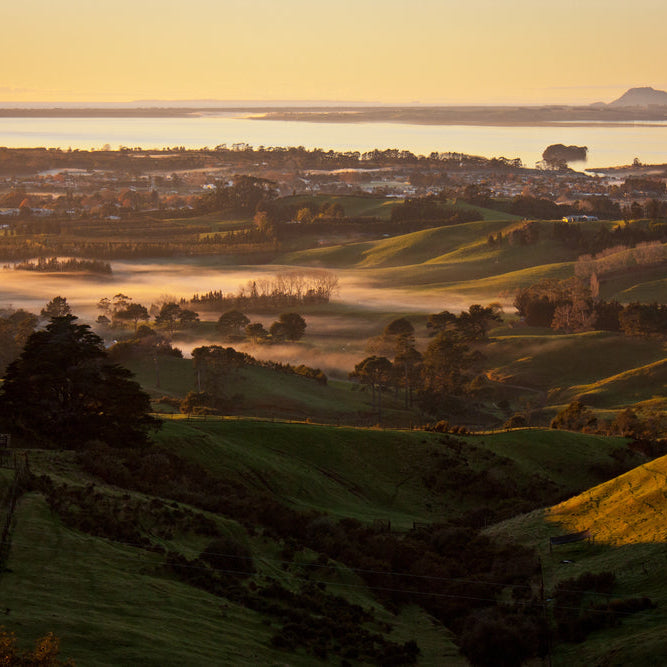 Electric Scooters In Tauranga What You Need To Know