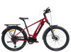 Wattwheels Bighorn S V5 electric bike, top tube step-over frame